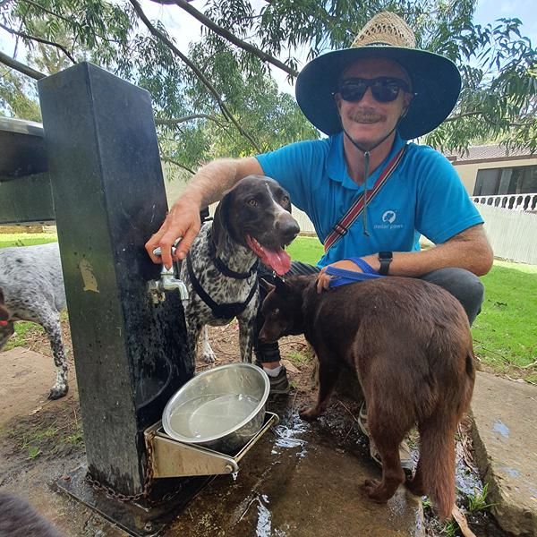 Stellar Paws founder Beau filling water bowls during a dog walking break