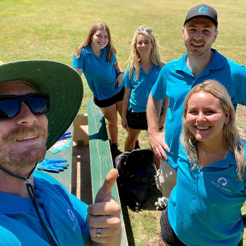 Professional, award-winning dog walker Sydney team in branded uniforms with extensive training in canine behaviour and socialisation