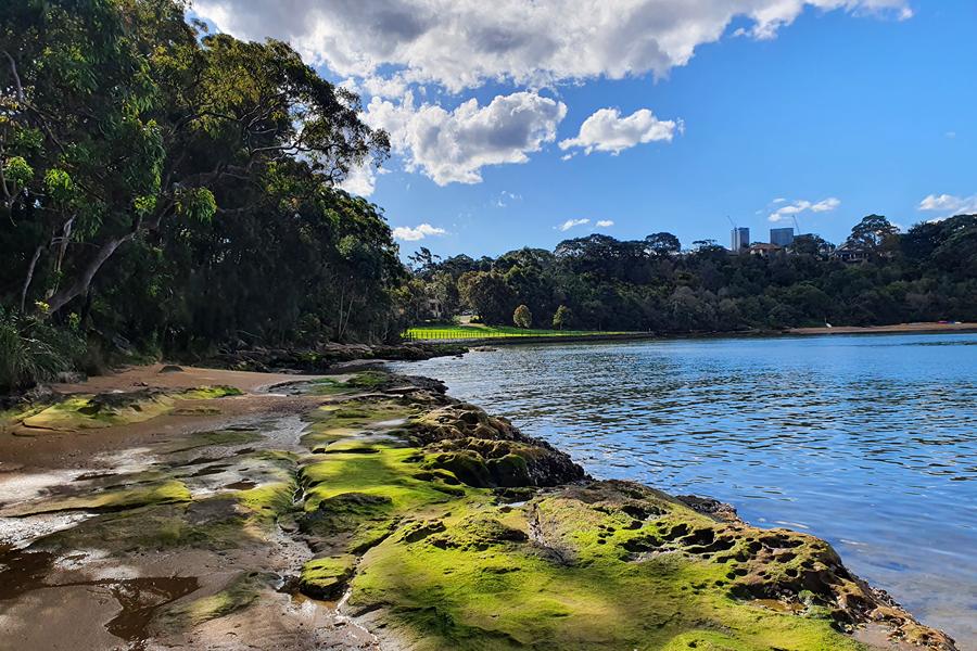 Scenic shoreline at Berry Island Reserve dog park with Sydney Harbour views and natural landscape