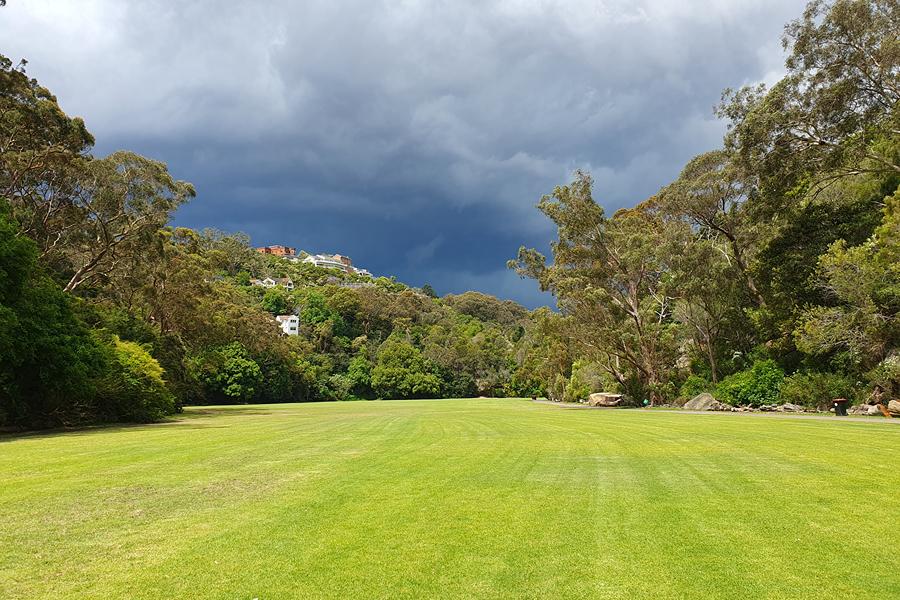 Immaculately maintained green fields at Tunks Park Cammeray, a premier dog-friendly space on Sydney's North Shore