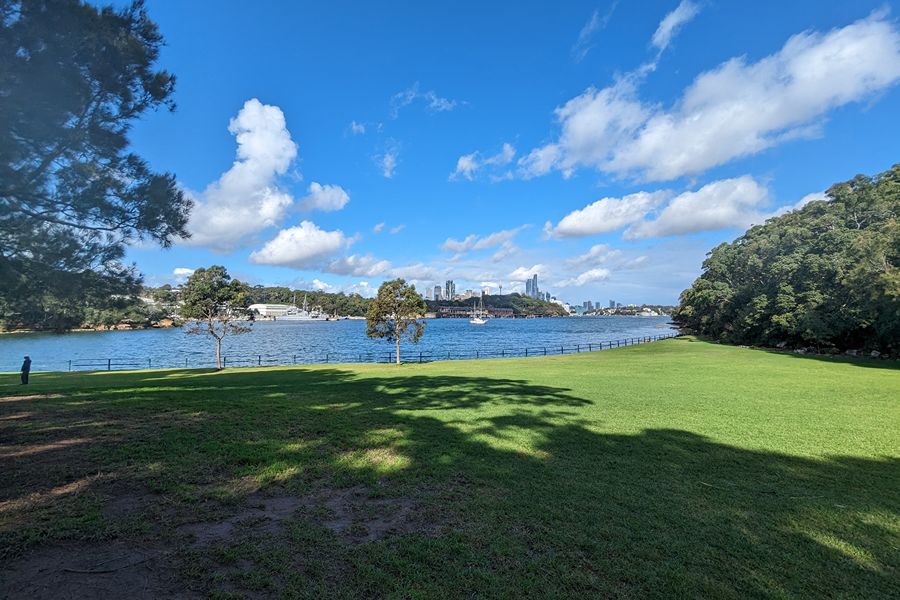 Berry Island Reserve off-leash dog park with harbour views in Sydney's Lower North Shore