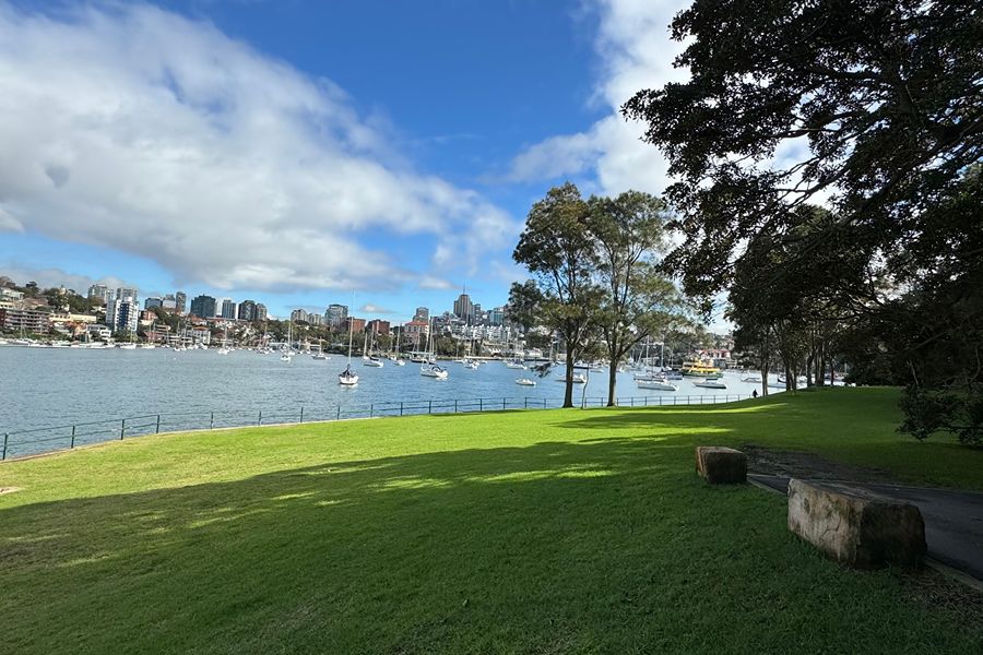 Kurraba Reserve off-leash dog park with panoramic Sydney Harbour views and grassy areas
