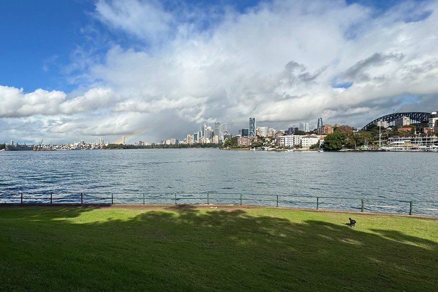 Panoramic Sydney Harbour and skyline view from Kurraba Reserve's hidden off-leash dog park