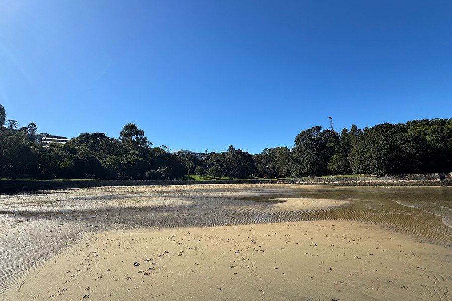Dog-friendly beach at Sirius Cove Reserve in Mosman at low tide, showing sandy shoreline and surrounding bushland