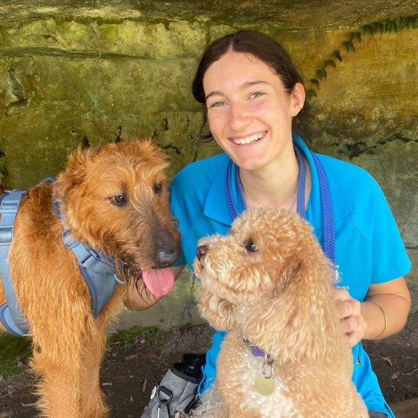 Natalie, professional dog walker at Stellar Paws, with two golden dogs during an off-leash group walking session in Sydney's Lower North Shore