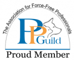 PPGA Guild Member - Professional dog walker Sydney with force-free training certification